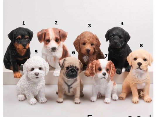 Levensechte Cockapoo puppy 15 cm